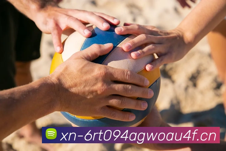 App Interface Preview