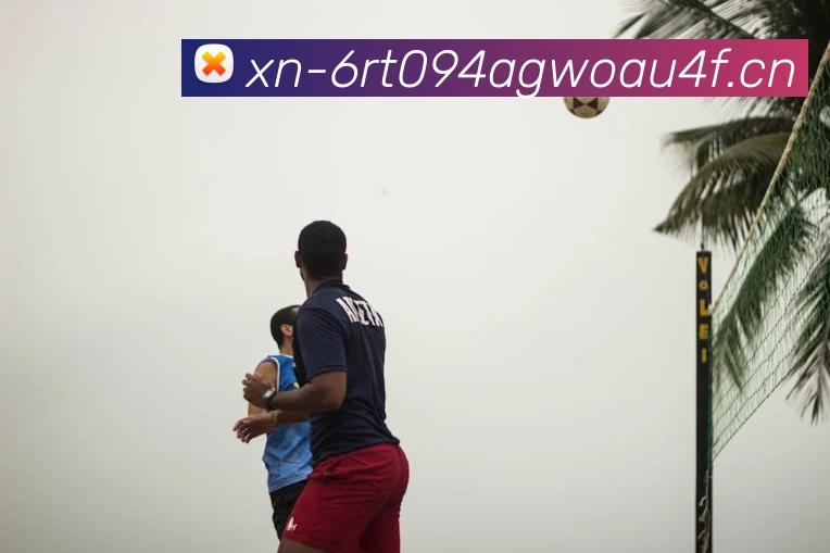 开云kaiyun体育app入口下载官网APP 封面图